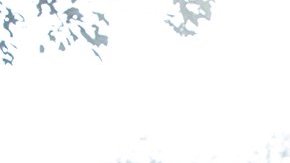 ¿Necesitarán refuerzos?