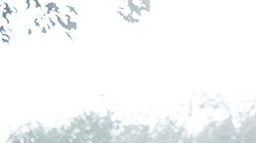 ¿Necesitarán refuerzos?