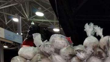 Carlos Arellano estaba involucrado con una organización de narcotráfico, cultivando su propia marihuana y discutiendo pagos de drogas.