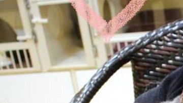 oyzji-old-cat-gets-adopted-by-elderly-couple1