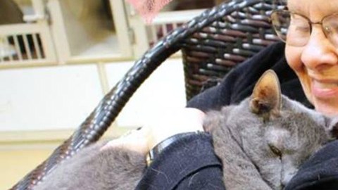 oyzji-old-cat-gets-adopted-by-elderly-couple1