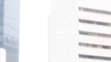 Jaime Rodríguez Calderón "El Bronco"