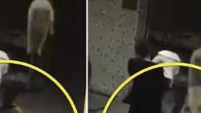 Perro le cae a mujer