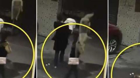 Perro le cae a mujer