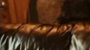 Panda (izquierda) ha desaparecido; su compañero inseparable, Griz (derecha), la espera.