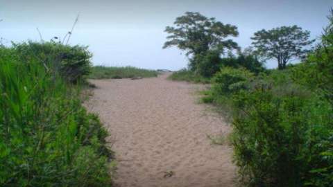 playa-si
