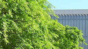 El Sindicato de Empleados de la Universidad Estatal de California solicitó la auditoría tras incidentes recientes en el campus de Sacramento.