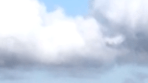 Este border collie está convencido de que ese hombre puede jugar con él.