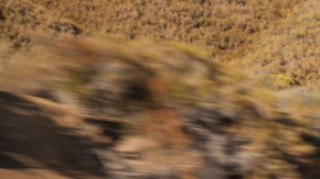 ¿Un auto de lujo usado al precio de un Corolla?