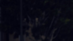 Hyundai se mantiene en la cima.