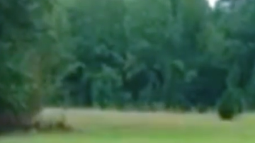 Esta joven deja claro su talento solo con su guitarra y su voz.