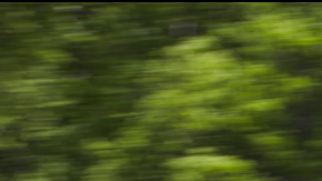 De todos tamaños hay buenas y malas.