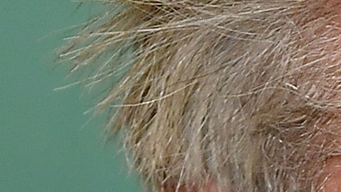 Sean Penn