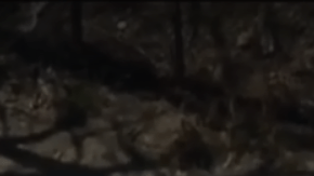 El SUV estaba estacionado en la cuadra 1300 de South Varney Street.