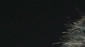 Hank Azaria presta su voz al personaje de Apu en "The Simpsons"