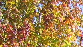 Cuidado con las tintas.