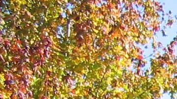 Cuidado con las tintas.