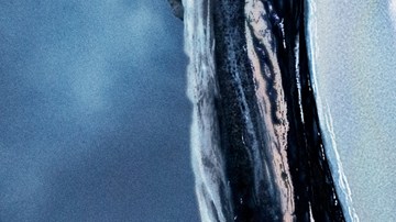 Tom Hardy es "Venom" en nueva película