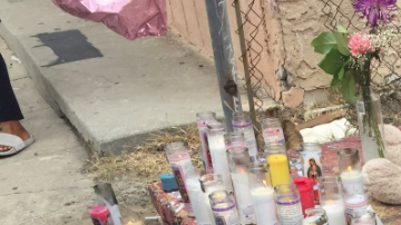 "No sé qué voy a hacer sin ella: era mi roca", dijo la madre.