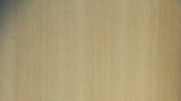 Los votantes latinos sorprendieron con su presencia en las urnas en  la elección de revocación. (Archivo/La Opinión)