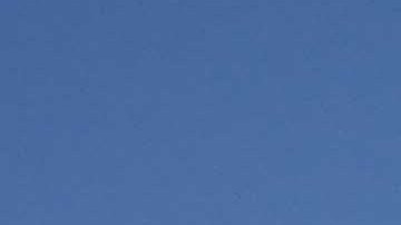 Hoy se inicia una huelga de renta de inquilinos de tres edificios de la calle Burlington, en el vecindario de Westlake.