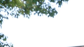 05/08/18/LOS ANGELES/Los Angeles Police search a car parked, on the corner of W. 42nd Street and Walton Avenue, after a man barricaded himself inside an apartment.ÊÊ Los Angeles police were called to the scene aroundÊ2:30 a.m.Êafter getting reports of a shooting. The gunman was later taken into custody without incident, and no injuries were reported. (Photo by Aurelia Ventura/La Opinion)