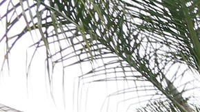 Objetos voluminosos se observan en una calle del sur de la ciudad de Los Ángeles. ( Aurelia Ventura/La Opinion)