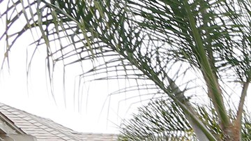 Objetos voluminosos se observan en una calle del sur de la ciudad de Los Ángeles. ( Aurelia Ventura/La Opinion)