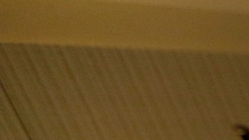 Varias de las armas canjeadas por tarjetas de regalo en Los Ángeles en 2018.