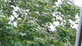 Vivienda gentrificacion