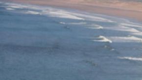 La criatura apareció en la playa de Rhossili, en la costa sur de Gales.