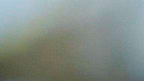 El presidente Trump ha sido criticado por su política de deportaciones.