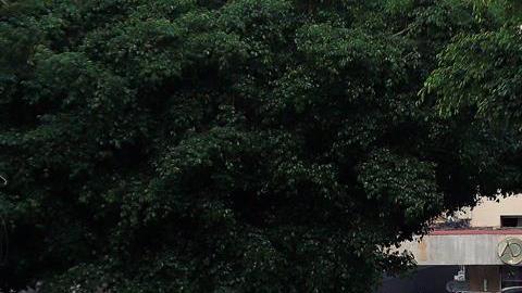 Tres personas fueron detenidas tras el ataque.