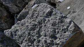 Una piedra lo aplastó. EFE