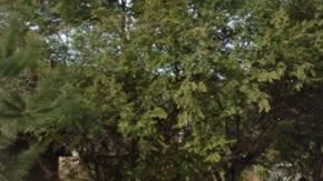 35000 block, Juniper Avenue, Yucaipa.