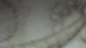 El presidente Trump califica la indagatoria en su contra como una "cacería de brujas".