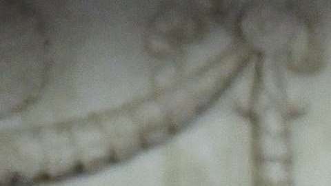 El presidente Trump califica la indagatoria en su contra como una "cacería de brujas".