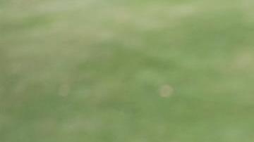 Sergio García insultó a un niño que lo felicitó durante uno de sus golpes en el hoyo 12