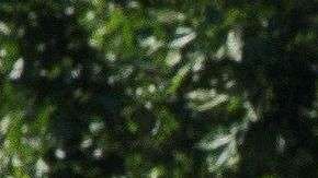 Las autoridades tomaron las calles en Lieja, Bélgica