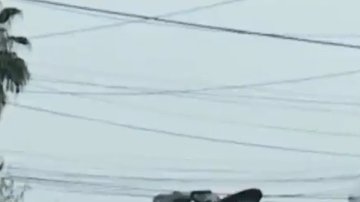 El choque tuvo lugar cerca de la intersección de Avenue 50 y Aldama Street.