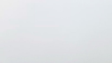 La niebla contribuyó al accidente.