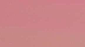 Andrés Manuel López Obrador y Donald Trump.