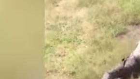 El ataque ocurrió en Marakele Predator Center, de Sudáfrica.