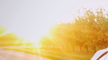 Los autos tienen un promedio de depreciación.