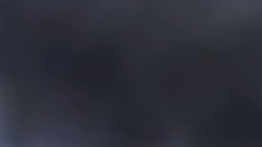 El incidente tuvo lugar frente a la costa de Palos Verdes.