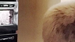 Un agente toca la ventana con el fin de llamar su atención.