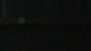 Agente de la Patrulla Fronteriza de EEUU revisa un auto con la ayuda de un perro rastreador