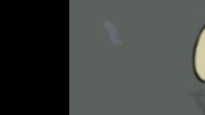 La polémica propuesta del candidato independiente de cortar las manos.