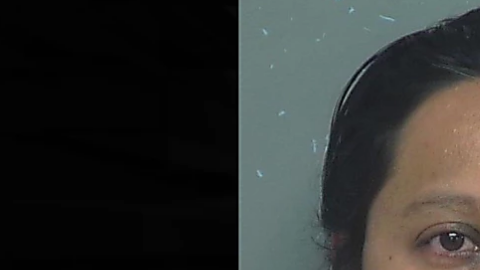 La mexicana podría enfrentar hasta 20 años de prisión y una multa de $10,000 dólares