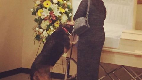 Un perro atiende el funeral de su dueño.